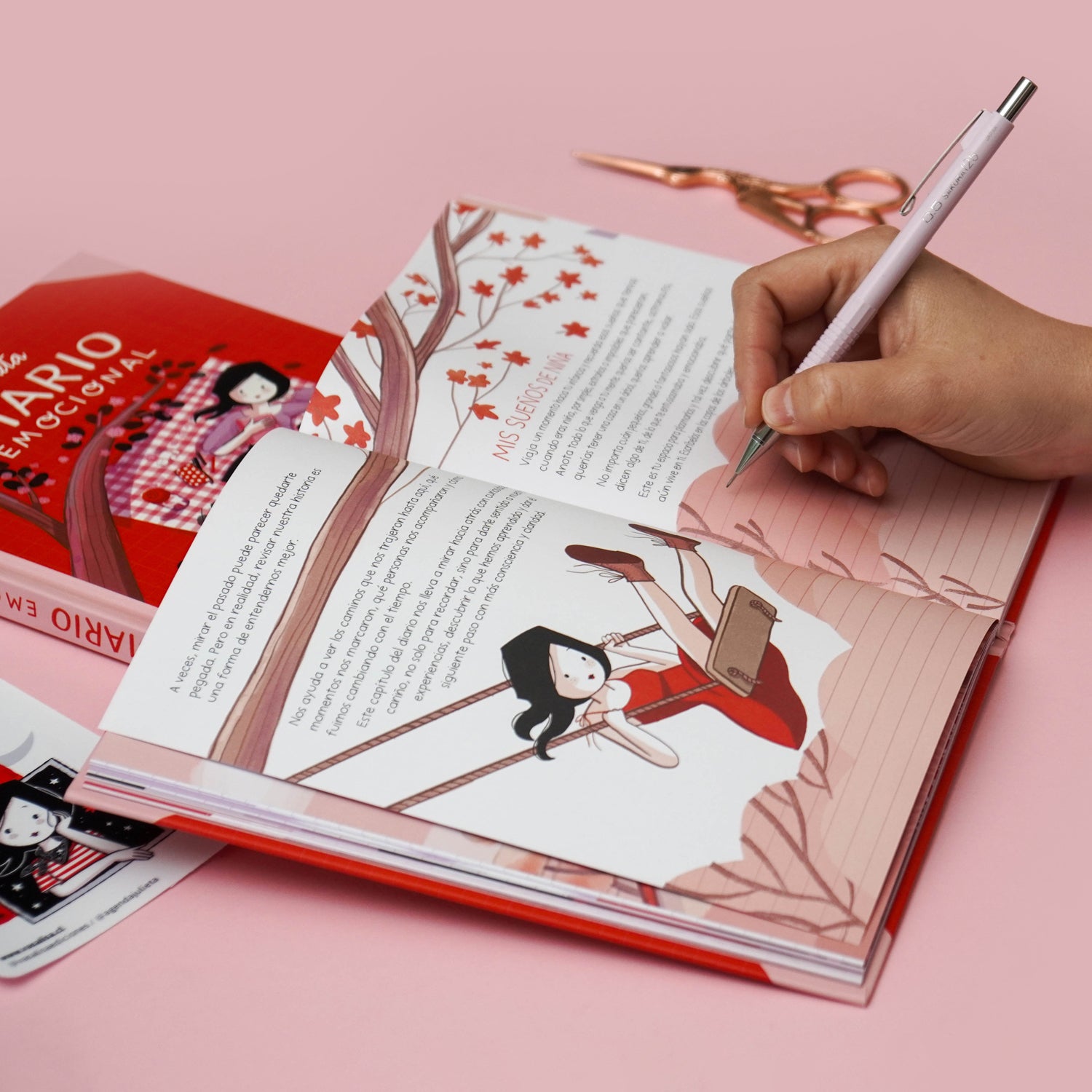 Julieta, Diario Emocional + Journal Calle nocturna + Regalos!