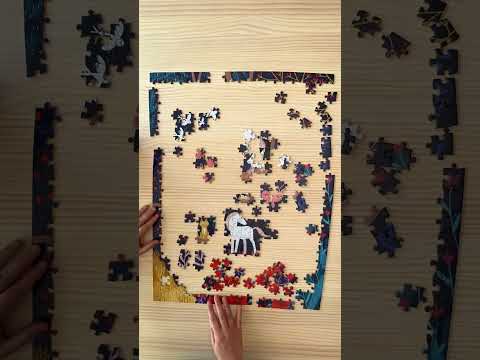 Puzzle Jardin de Medianoche