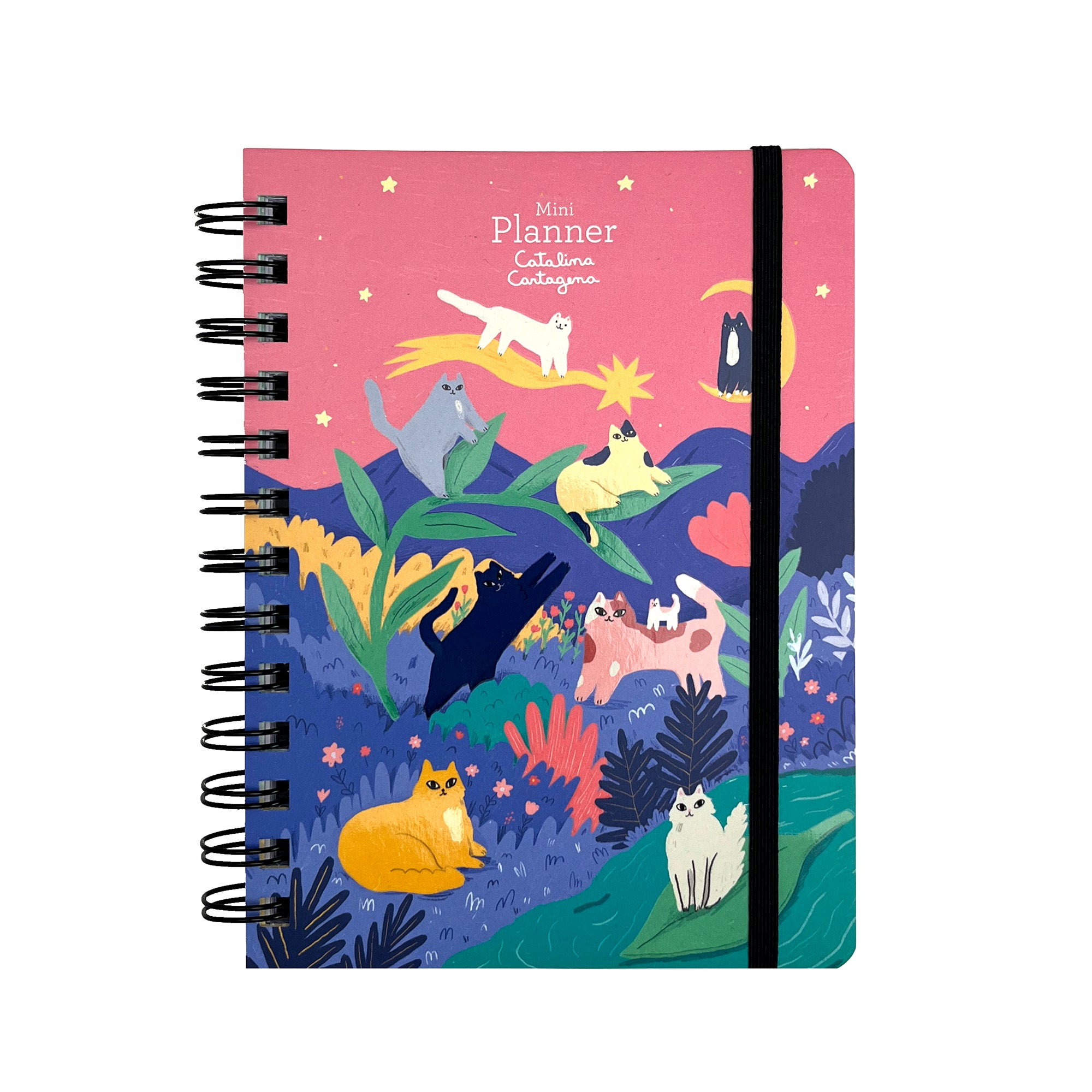 Mini Planner Gatos Catalina Cartagena