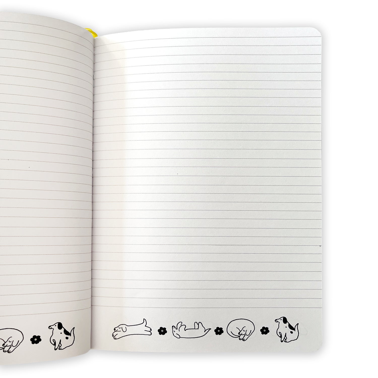 Journal Cata Cartagena Perritos